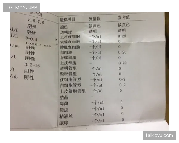 陈艺文的冰箱跟我工资条明显不是同一个星球